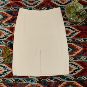 The Limited Stretch Skirt